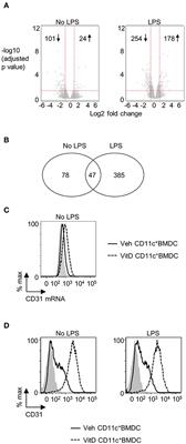 1,25-Dihydroxyvitamin D3 Restrains CD4+ T Cell Priming Ability of CD11c+ Dendritic Cells by Upregulating Expression of CD31